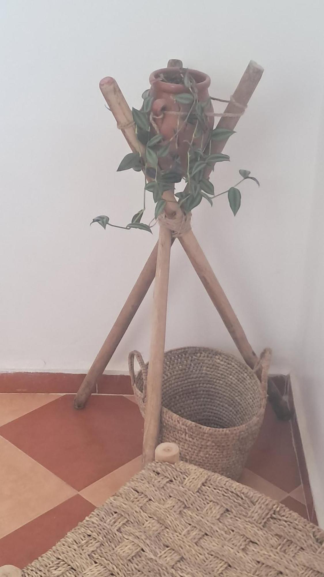 Tamraght Buena Vista Morroco Guest House מראה חיצוני תמונה